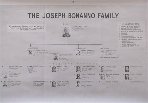 Lot Detail - Historic Original Mafia Family Tree Court Exhibits