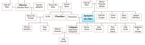 Agrippina the Elder - History, Family & Marriage - World History Edu