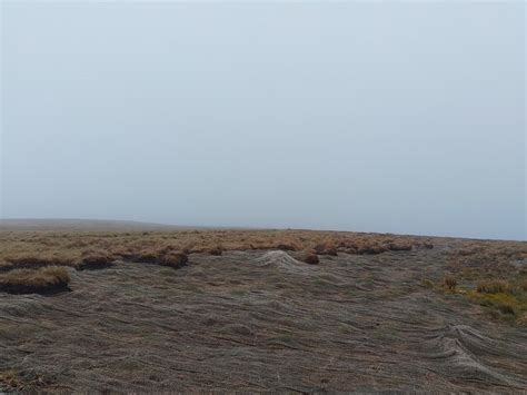 Waun Fach netting © Oscar Taylor :: Geograph Britain and Ireland