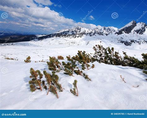 Winter in Tatra Mountains stock image. Image of stone - 34039785