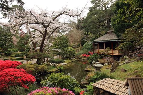 7 Japanese Tea Garden Ideas and Inspiration