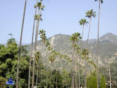 Beautiful So-Cal Weather - Another Great Day In Altadena