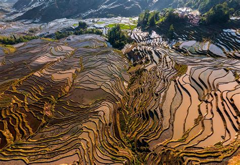 Yuanyang rice terraces #14