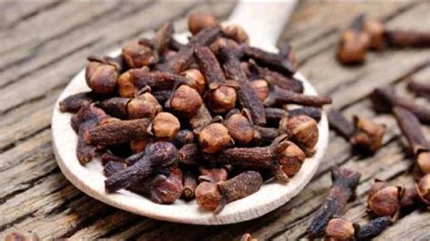 Cloves Side Effects: Side Effects of Eating Too Much Clove | Cloves Side Effects: లవంగాలు ఎక్కువ ...