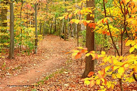 Today's photo: the last of the magnificent #autumn colours: https://wp.me/p2ccTX-1cV ...