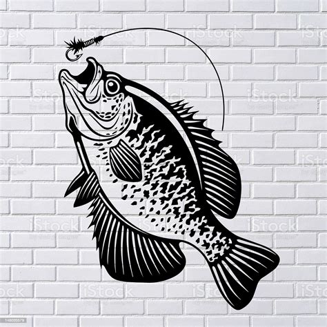 Crappie Fishing PDF SVG , Fishing Svg, Crappie Fish Svg, Crappie Clipart, Crappie Vector ...