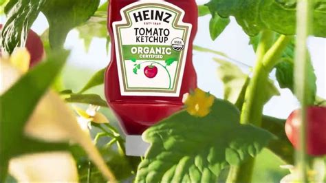 Heinz There’s a Ketchup for Everyone TV Commercial 2020 | Ketchup, Usda organic, Tv commercials