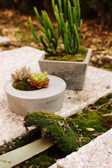 Yozo Craft: Decorate Concrete Succulents Pot with Moss