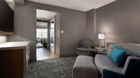 Denver Pet-Friendly Hotel | Courtyard Denver Airport