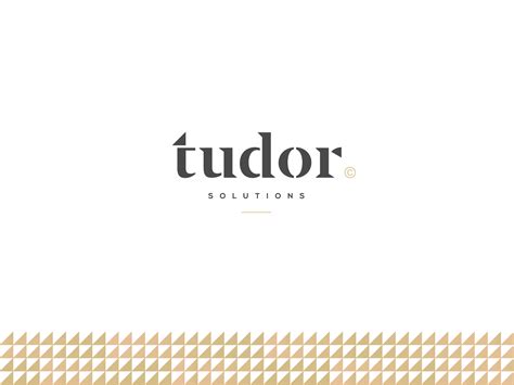 Tudor Solutions - Logo Design by Andrea Binski on Dribbble