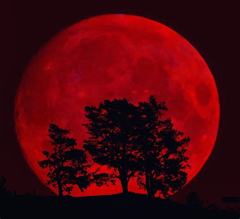 Bad Moon Rising by Autumn Pham on 500px | Red moon, Moon art, Red moon rising