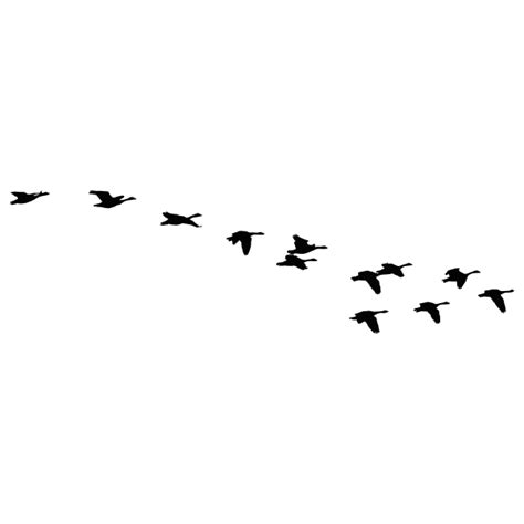 Flock of flying geese vector silhouette | Free SVG