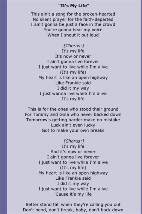 Bon Jovi It's My Life Lyrics - Lina Pdf