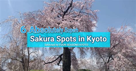 6 Absolutely Superb Sakura Spots in Kyoto - Selected by FOUR SEASONS ...