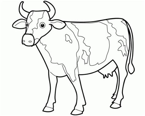 Carabao Drawing at GetDrawings | Free download