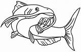 Effortfulg Catfish Coloring Pages sketch template