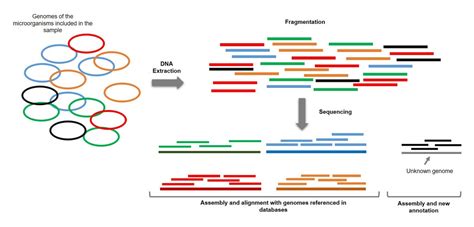 Shotgun metagenomics - France Génomique