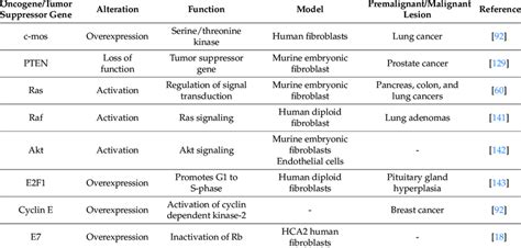 Examples of established oncogene/tumor suppressor genes implicated in ...