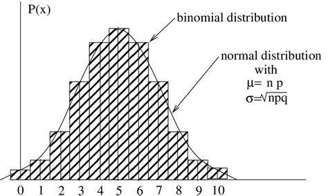 Binomial Distribution Graph