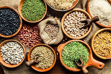 Advancing sustainable agriculture with legumes - Cosmos Magazine