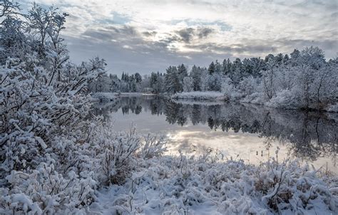 Wallpaper winter, forest, snow, lake, reflection, the bushes, Finland ...