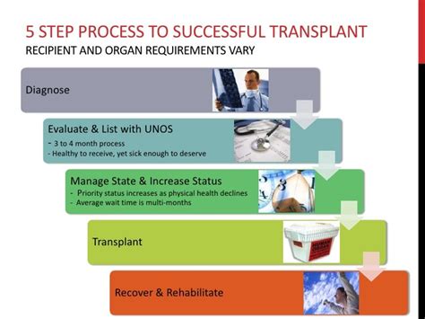 Road to a Transplant: A glimpse at the organ transplantation process