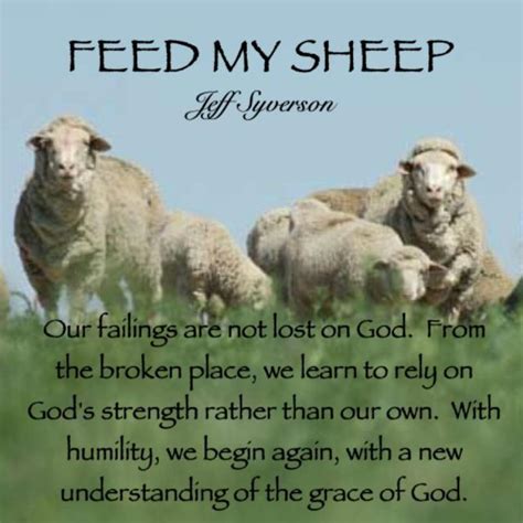 Feed My Sheep | pastor jeff's neighborhood