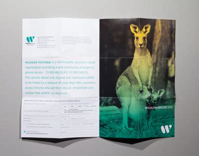 Wildlife Victoria | Behance