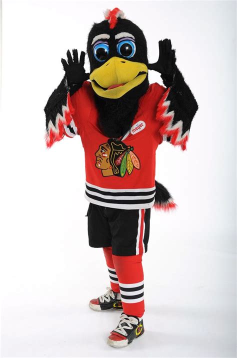 Tommy Hawk of the Chicago Blackhawks #nbcsports | Chicago blackhawks ...