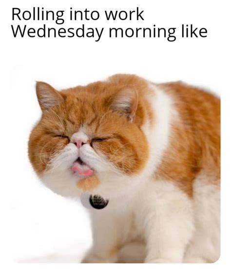 Wednesday Meme : r/memes