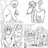 25 Free Monkey Coloring Pages For Kids And Adults sketch template