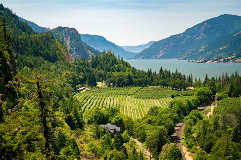 18 CHARMING Hood River Wineries Guaranteed to Impress