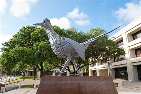 Being a Roadrunner | Student Affairs | UTSA | University of Texas at ...