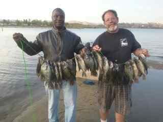 Lake Elsinore Fish Report - Lake Elsinore, CA (Riverside County)