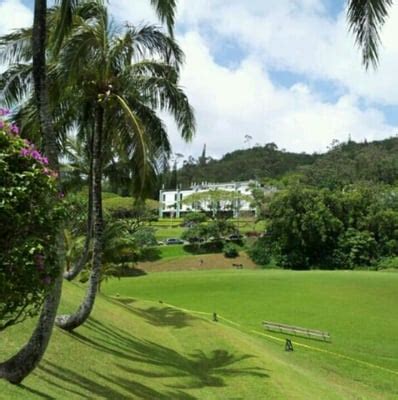 Hawaii Pacific University - Hawaii Loa Campus - 20 Photos - Colleges & Universities - Kaneohe ...