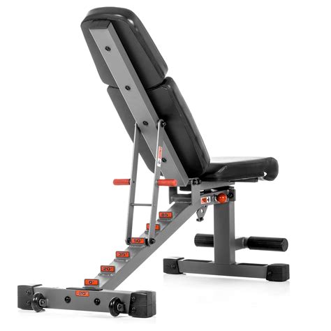 Amazon.com : XMark Adjustable Dumbbell Weight Bench XM-7630 : Standard Weight Benches : Sports ...