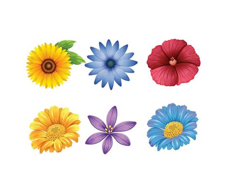 beautiful colourful flower set 23802992 Vector Art at Vecteezy