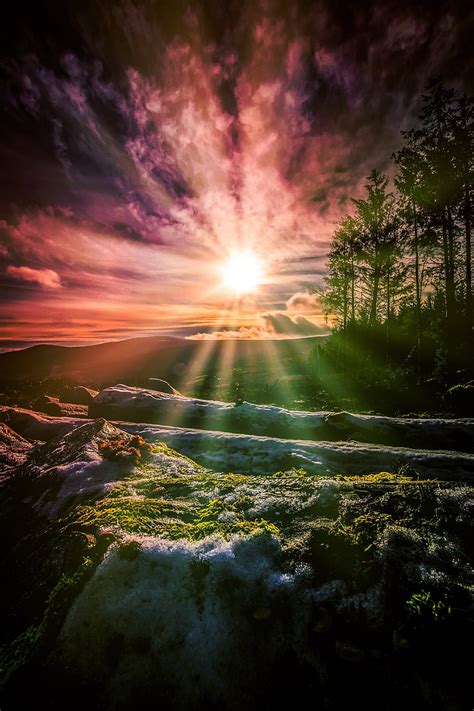 Nature Wallpaper Sunrise : Wallpaper Field Sunrise 4k Nature Wallpaper Download High Resolution ...