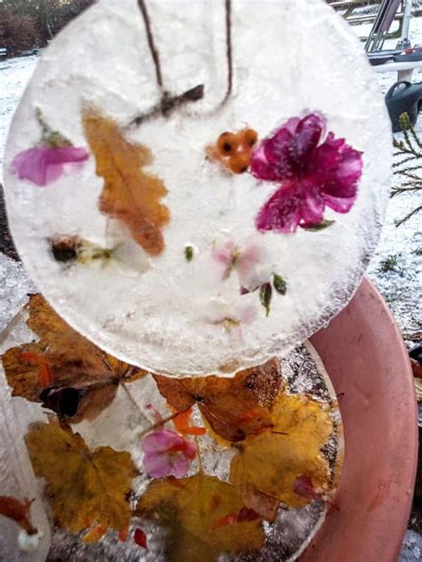 How to Make Ice Art to Liven Up Your Winter