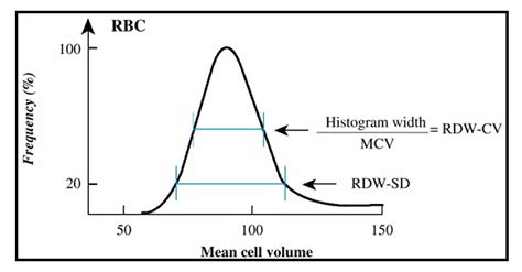 Red Blood Cell Distribution Width CV and SD | Med-Health.net