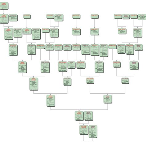 Spencer Tree – Graham and Barbara Family History