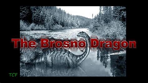 The Crypto Files - The Brosno Dragon | The Crypto Crew