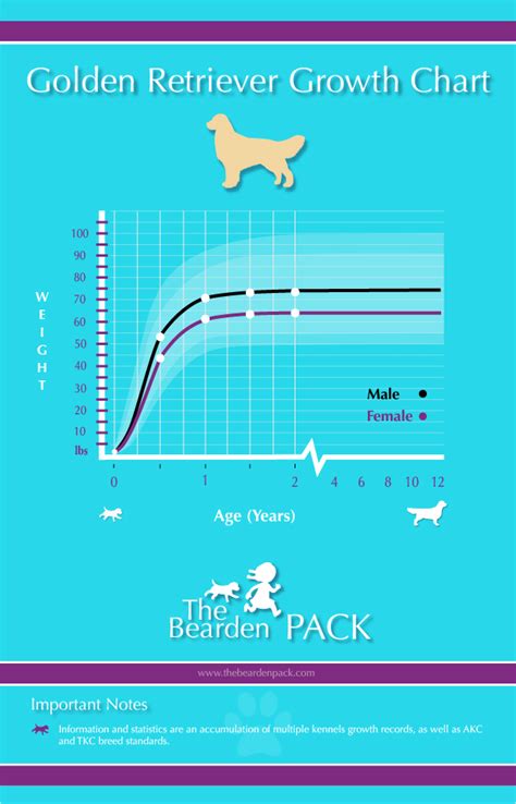 Golden Retriever Growth Chart - The Bearden Pack The Bearden Pack