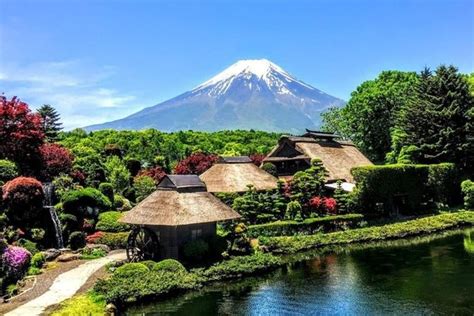 Mt. Fuji Tour: Lake Kawaguchi, Oshino Hakkai, Ninja Village 2024 - Tokyo