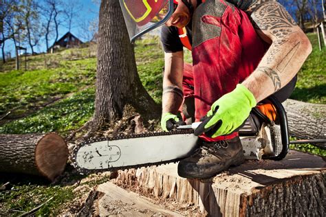 How To Sharpen a Chainsaw With a Dremel: A Beginner's Guide - Power ...