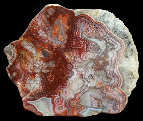 3.3" Polished, Red Crazy Lace Agate Slab - Mexico (#60985) For Sale ...