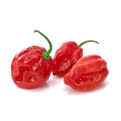 Habanero Red - Vega Produce: Eat Exotic, Be Healthy