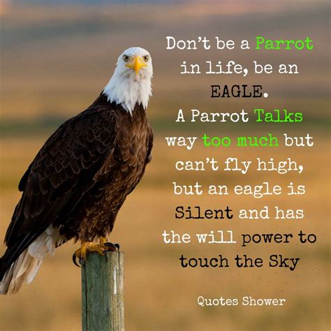 Don’t be a parrot in life, be an EAGLE. A parrot talks way too much but can’t fly high but an ...