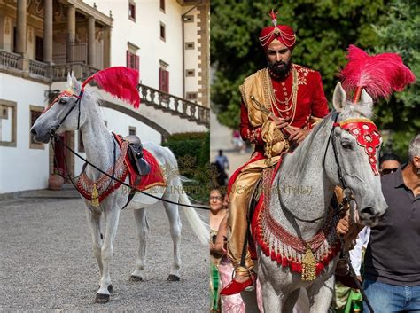 A decorated horse for Baraat in Italy? | Best Indian Weddings Italy