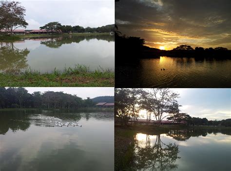 Rantau Eco Park: Lake view